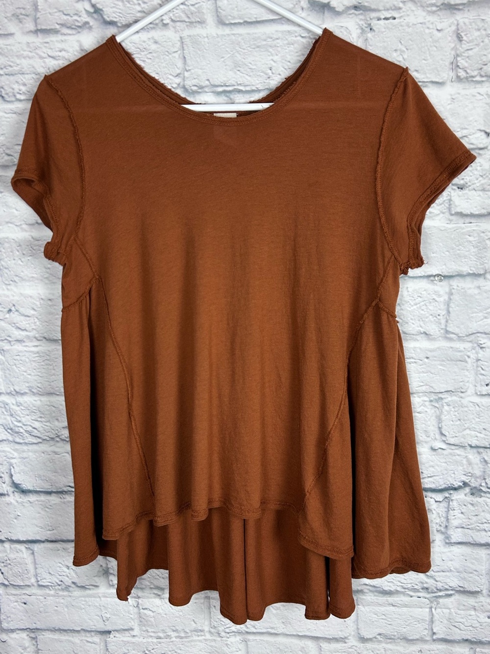 Free People We The Free Rust Babydoll Tunic Top Small